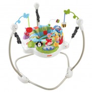 Fisher-Price Discover N Grow Jumperoo